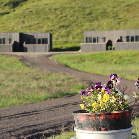 Laxardalur Cabin Einarsstaðir Eksteriør billede
